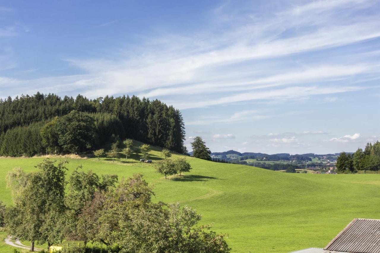 Apartment Landzeit Neukirch  Exteriér fotografie